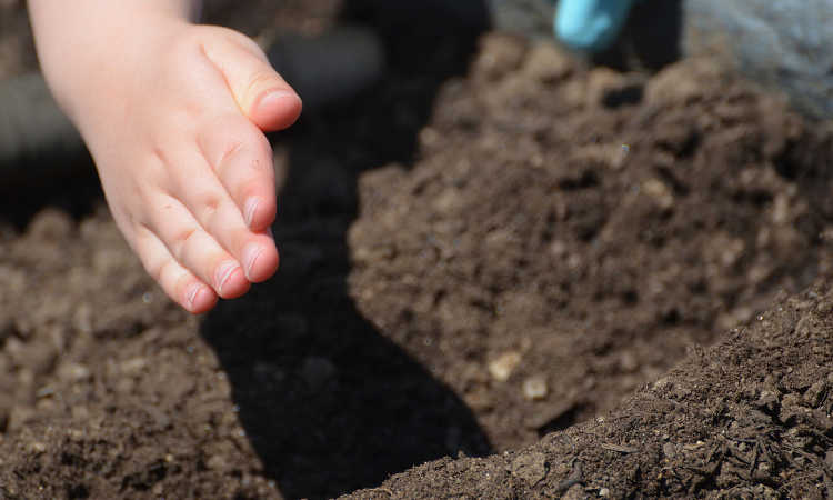 Amending soil