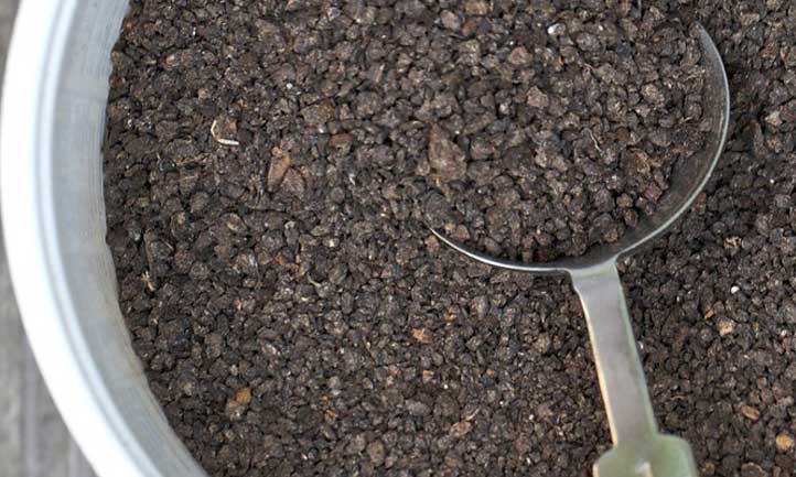 Bat guano fertilizer ready for a mid-season application