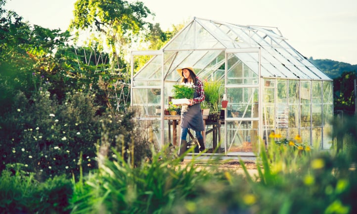 12 Best Greenhouse Kits: Cold-Weather Solutions
