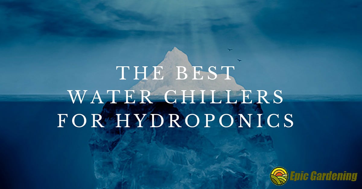 5 Best Water Chillers for Hydroponics