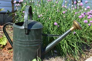 The best watering cans based on your needs in the garden