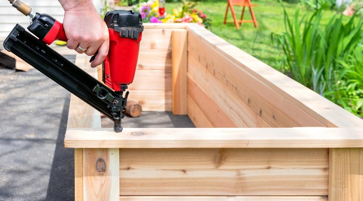Construction of raised beds in the garden. Close-up of a male hand hammering nails into a raised bed with a red nailer, in a sunny garden. The raised bed consists of wooden boards fastened together to form a rectangular tall box for growing plants.
