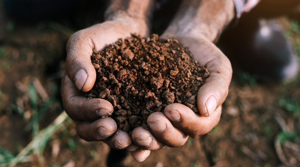 Close-up of a farmer's hands holding a handful of soil against a blurred background of a garden bed, before planting seeds. The soil is loose, well-drained, dark brown in color with large earthy lumps.