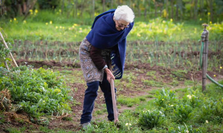 Elderly gardening