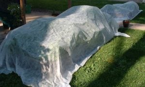 Raised Bed Covers