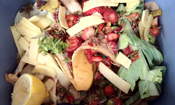 Food scraps to be composted
