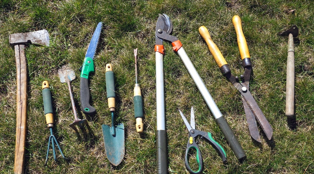 Close-up of many different gardening tools on green grass. Garden tools: axe, secateurs, rakes, saws, rakes, scissors, etc.