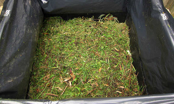 Grass clippings