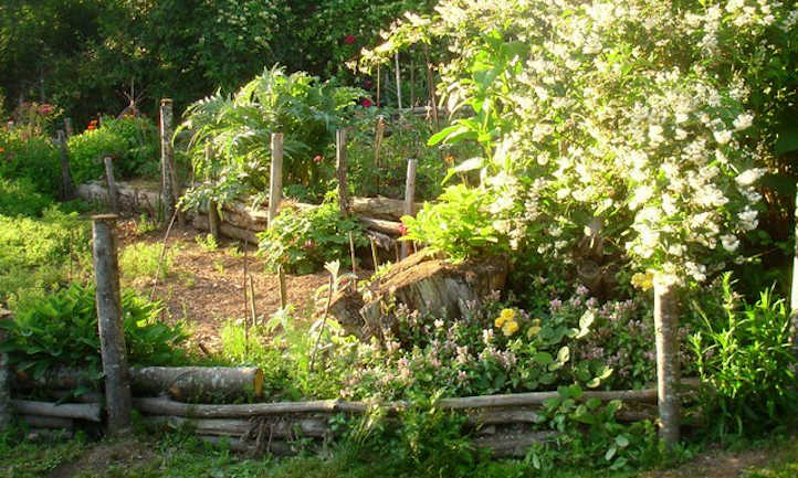 Homespun terraced garden