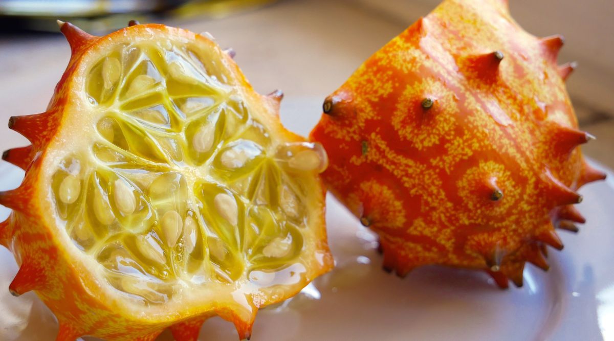 A close up image of an orange horned melon cut in half. On the left, the half is facing the camera, displaying numerous seeds suspended in the melon's flesh. The inside of the half on the right is facing away from the camera. Both halves are placed on a white ceramic dinner plate. 