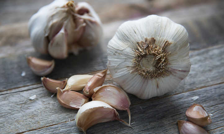How long does it take for garlic to grow