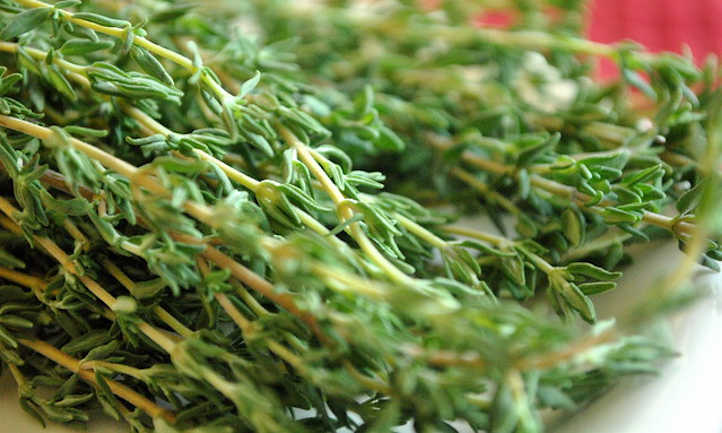 How to harvest thyme