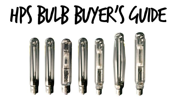 Best HPS Bulbs