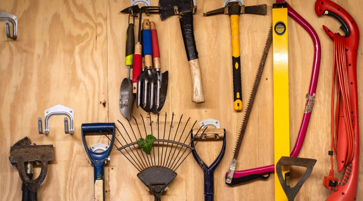 A close-up of many different gardening tools hanging on a wooden wall in a garage. Tools such as a rake, hammer, saw, spatula, hoe, trowel, shovels, Level Tool and others.