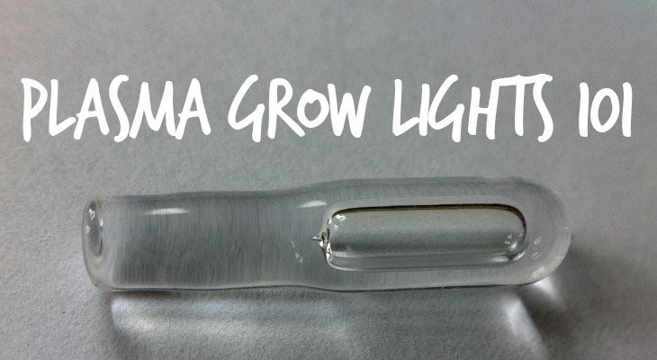 Plasma Grow Lights 101
