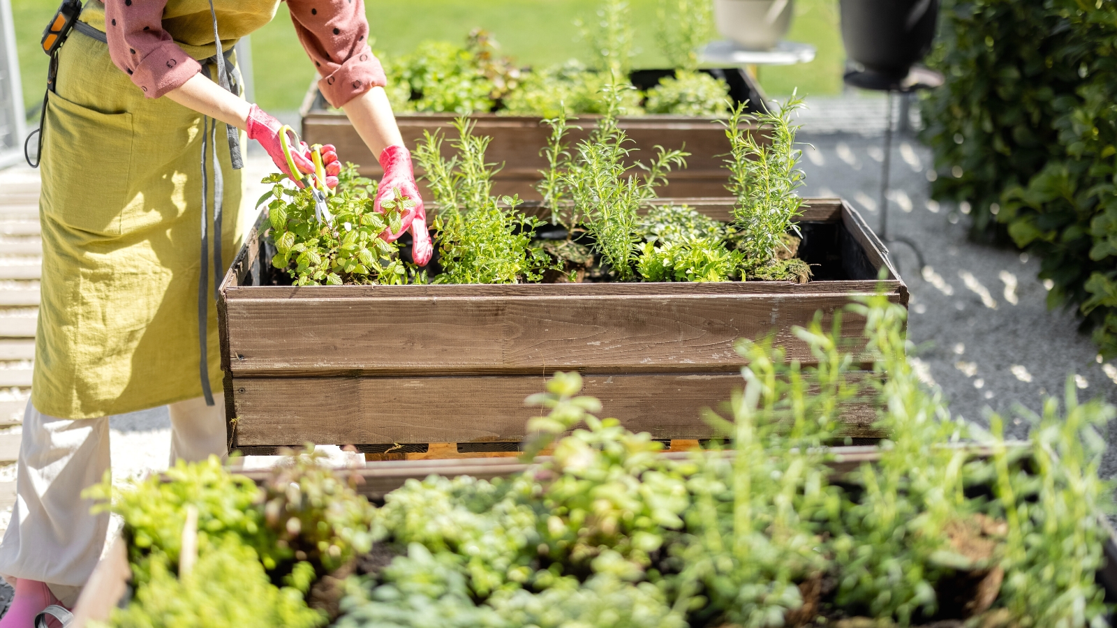 15 Benefits of Raised Bed Gardening