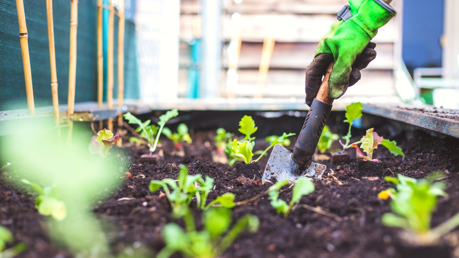 5 Ways to Improve Drainage in Your Raised Garden Beds