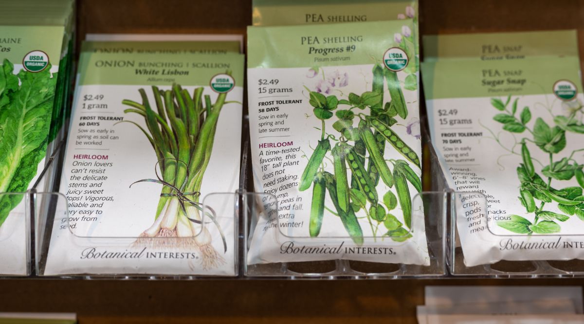 An up close image of four different seed packets in a store on a clear plastic display. From left to right, the packets read: "Romaine, Onion Bunching Scallion: White Libson, Pea Shelling: Progress #9, and Pea Snap: Sugar Snap." All are seeds from the Botanical Interests brand, which sports white and green packaging with highly detailed and pleasing botanical drawings of each plant on their cover. 
