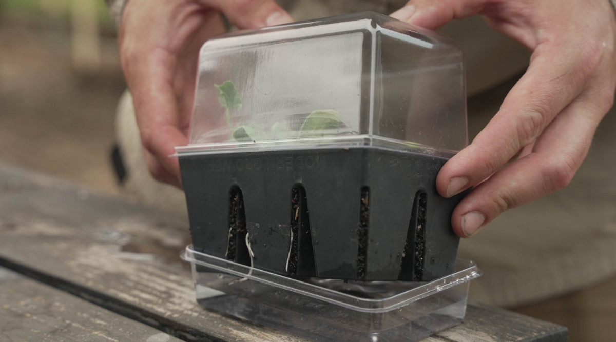 Seed starting tray being held by gardener in hands. The seed cell tray has black plastic at the bottom.