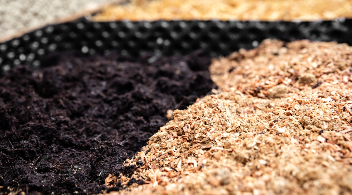 Close-up of a raised bed filled with fresh soil and covered with a thin layer of wood shavings and straw mulch. The soil is fresh, black, moist.