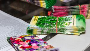 A close up image of several stacks of seed packets. Some are banded together with a red rubber band.