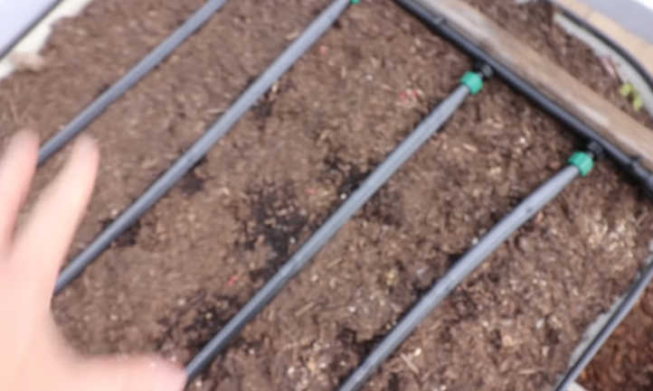 Watering system layout