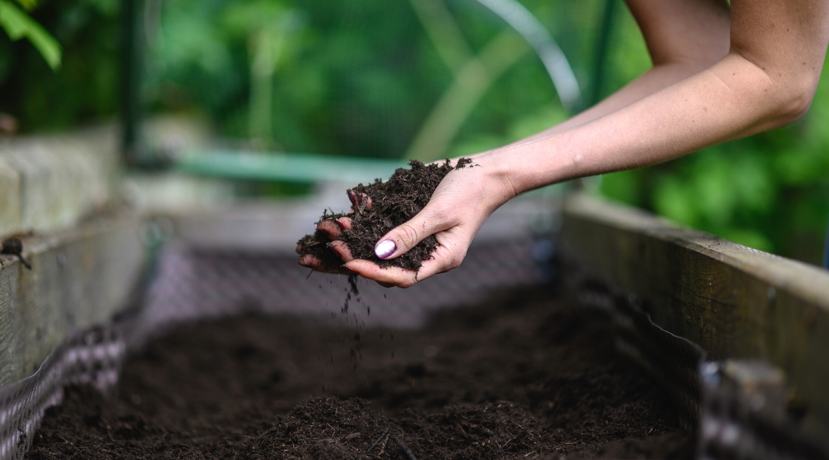 Close-up of a woman's hand holding a handful of fresh soil over a raised bed in a garden against a blurred background. The soil is loose, black.