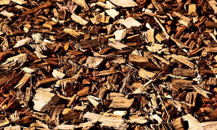 Wood chip mulch